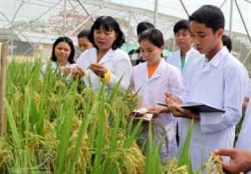 FIRST tài trợ đợt 2 cho nhóm nghiên cứu hợp tác và tổ chức KH&CN công lập